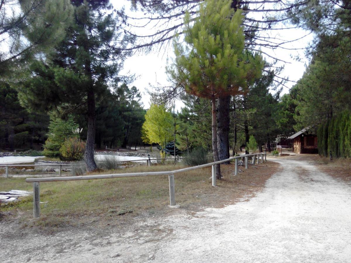 Chalet De Montana Parque Natural Calar Rio Mundo - Independiente - Wifi Riópar Dış mekan fotoğraf