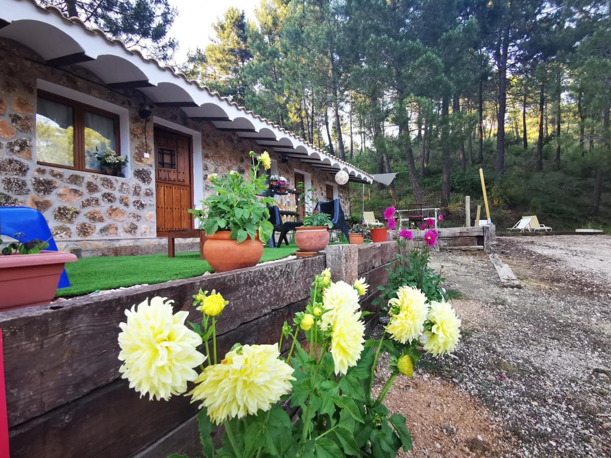 Chalet De Montana Parque Natural Calar Rio Mundo - Independiente - Wifi Riópar Dış mekan fotoğraf